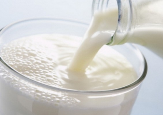Россельхознадзор: в Беларуси достаточно нормального сырого молока и зачем его портить – непонятно
