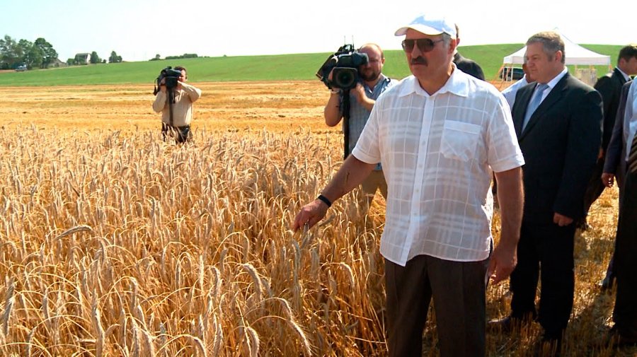 Белорусские аграрии побили рекорд по долгам. Какие будут последствия?