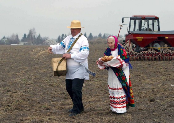 Белорусский АПК в 2015-м: посевов больше, урожайности - меньше