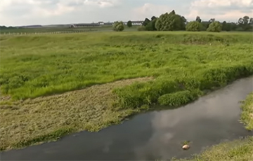 Экологическая катастрофа в Воложинском районе: река сменила цвет