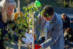 В SOS-Детской деревне Боровляны высадили 160 деревьев и кустарников