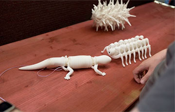 Японские дизайнеры напечатали на 3D-принтере жуков