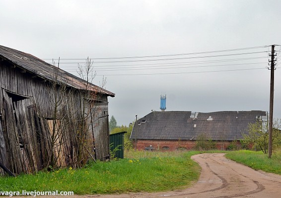Белорусы и украинцы скупают жилье в литовских селах ради доступа в ЕС