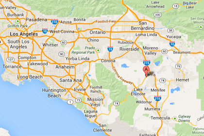 В Калифорнии бездомный выжил после нападения пумы