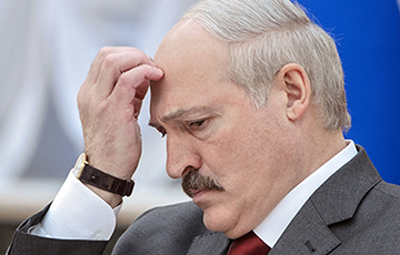 Вопросы, которые стоит задать Лукашенко