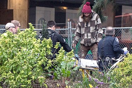 Житель Сиэтла двое суток просидел на секвойе в центре города