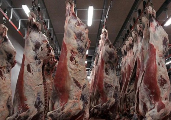 Китай включил «зеленый свет» для белорусского мяса