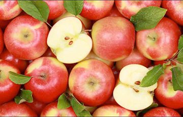 Нестыковочка: Беларусь ввезла в Россию в 5 раз больше яблок и грибов, чем вырастила