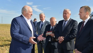 За дохлых коров ответят все: Лукашенко потребовал разобраться с падежом скота