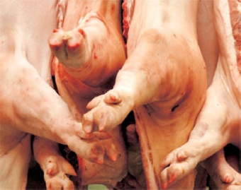 Беларусь запретила ввоз свинины из Ставропольского края