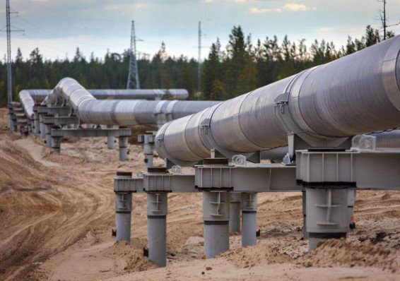 Беларусь ввела экологический налог на транзит нефти
