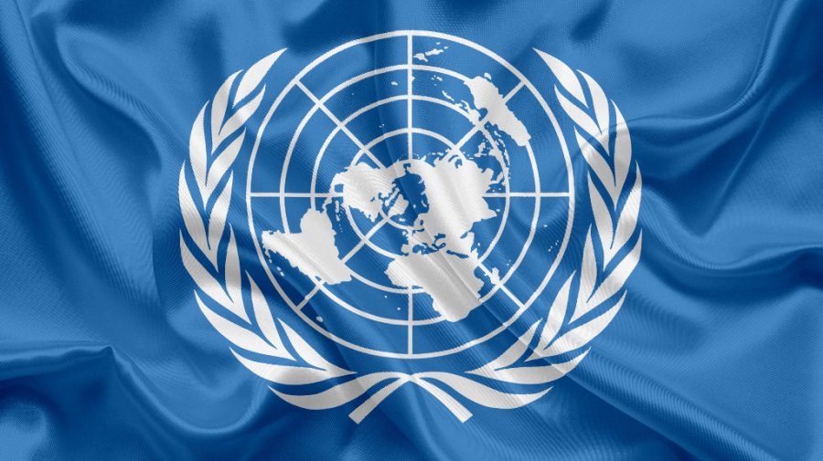 Ситуация ухудшается. Спецдокладчик по Беларуси представила в ООН свой отчет