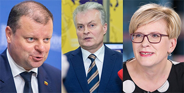 Президентские выборы в Литве: кандидаты и их сценарий отношений с Беларусью