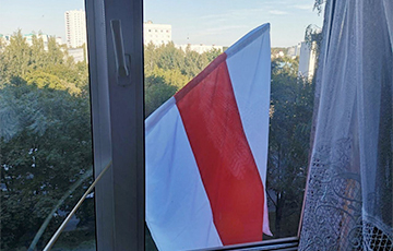 Белорусы массово вывешивают бело-красно-белые флаги на окнах