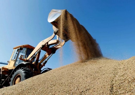 Россия урезала белорусский экспорт сельхозпродукции на 4 процента