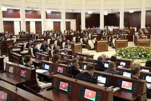 Палата представителей приняла проект закона об изменении Конституции
