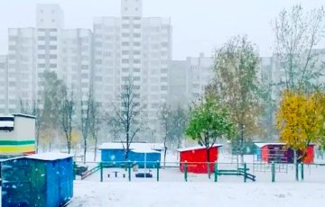 Беларусь накрыло снегом