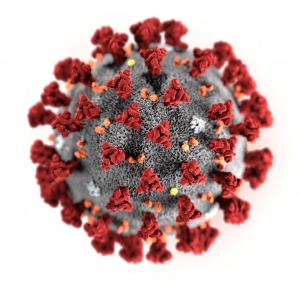 Последняя сводка по коронавирусу: число больных растет, среди них есть дети