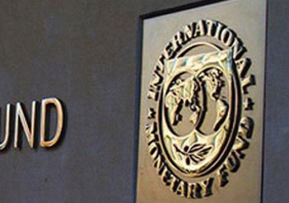 Беларусь увеличила свою квоту в Международном валютном фонде