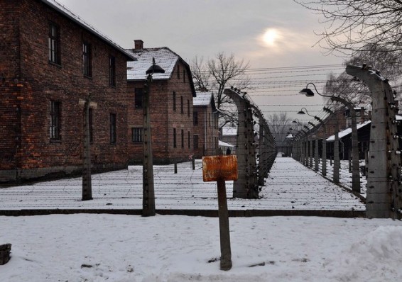Белорусская сборная по гандболу посетила музей в Освенциме