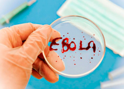 У прибывших в Беларусь из Нигерии студенток ищут Эболу