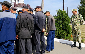 В Беларуси по амнистии освобождено более 2,5 тысячи осужденных