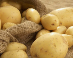 Нелегальный картофель из ЕС мог попасть в Россию через Беларусь