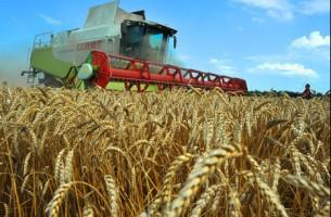 Российские аграрии просят белорусов помочь в обработке земель Смоленщины