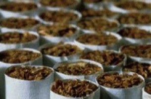 Беларусь наращивает производство табака