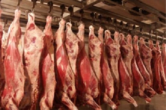Беларусь временно ограничила ввоз всех видов животноводческой продукции из Японии