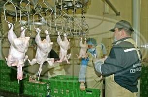 Минэкономики потребовало от агрокомбината «Дзержинский» снизить цены на мясо птицы