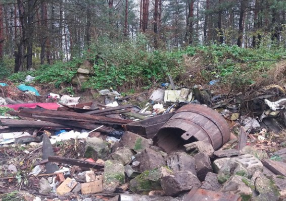 В Беларуси за два-три года планируют закрыть все мусорные мини-свалки