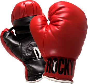 Международный матч по профессиональному боксу пройдет 31 июля в Минске