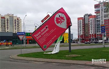 Сильный ветер в Брестской области валит деревья и портит билборды