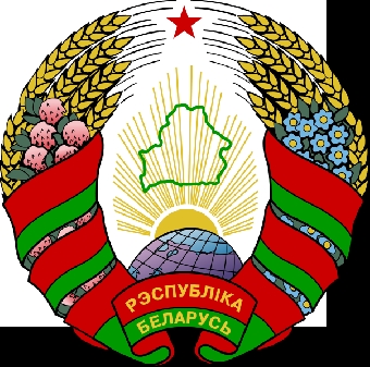 Беларусь заинтересована в продвижении и развитии национальной литературы - Ананич