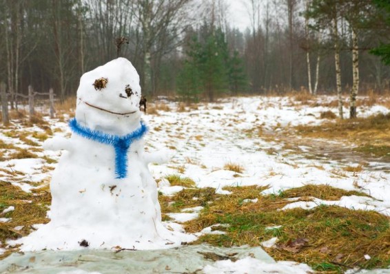 Температурный рекорд побит в Беларуси 25 декабря