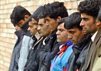 Пять нелегалов из Грузии и организатор канала миграции задержаны гродненскими пограничниками