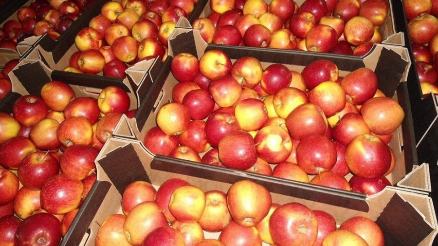 Беларусь вошла в Топ-30 крупнейших экспортеров яблок