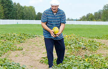 Номенклатура понимает, что Лукашенко уже пенсионер