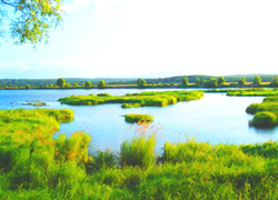 В древнейшем природном объекте Беларуси откроется экологическая тропа