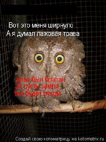 Чтобы зарплата не задерживалась