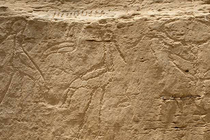 Найдены самые древние египетские иероглифы