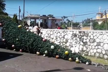 Рождественская елка в Гватемале убила пять человек