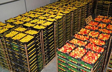 Россельхознадзор остановил за один день более 360 тонн овощей и фруктов из Беларуси