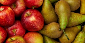 Беларусь и Россия обсудят скандальный вопрос о поставках яблок и груш