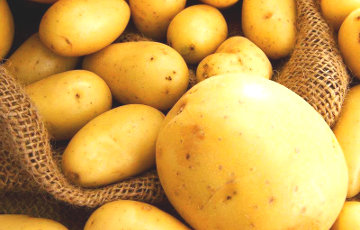 Белорусскую картошку активно вывозят в Украину