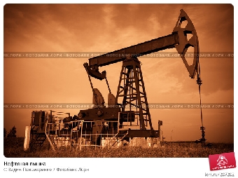 Право на оптовую торговлю импортными нефтепродуктами в Беларуси с 2011 года будут иметь только импортеры