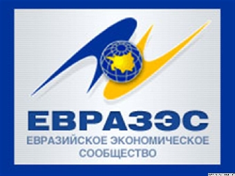Деятельность ЕврАзЭС способствует преодолению финансово-экономического кризиса - Путин