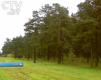 Белорусские пожарные ликвидировали крупный пожар в минском микрорайоне Сосны
