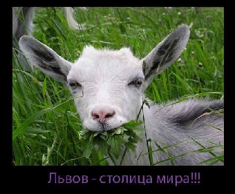 Госпрограмма по увековечению памяти защитников Отечества и жертв войн на 2011-2014 годы утверждена в Беларуси
